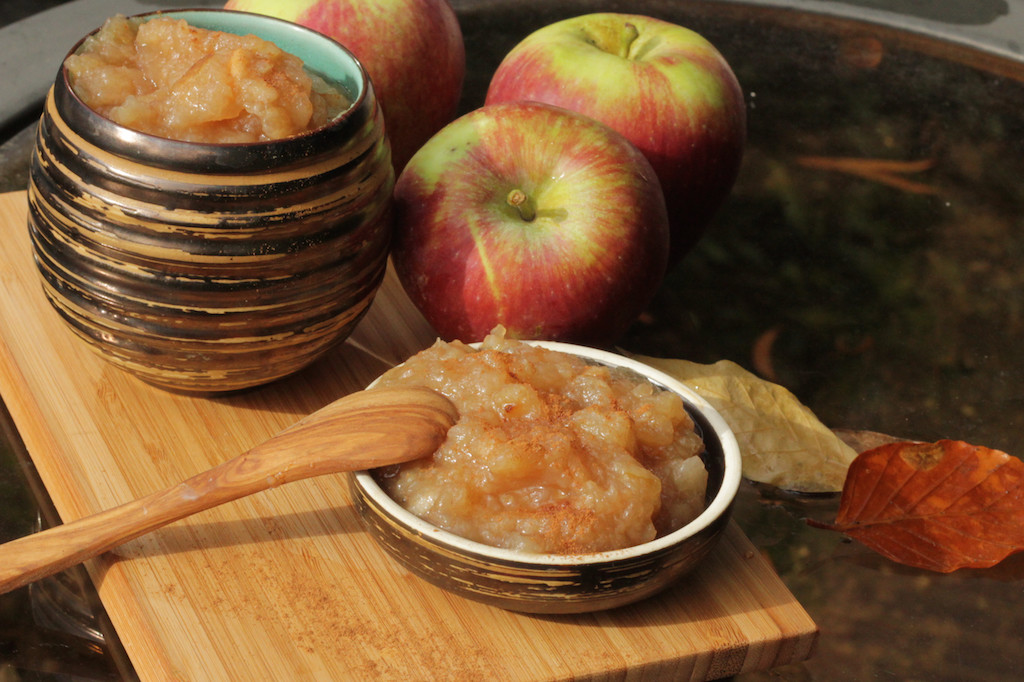 Healthy Homemade Applesauce Healthy Mama Cooks